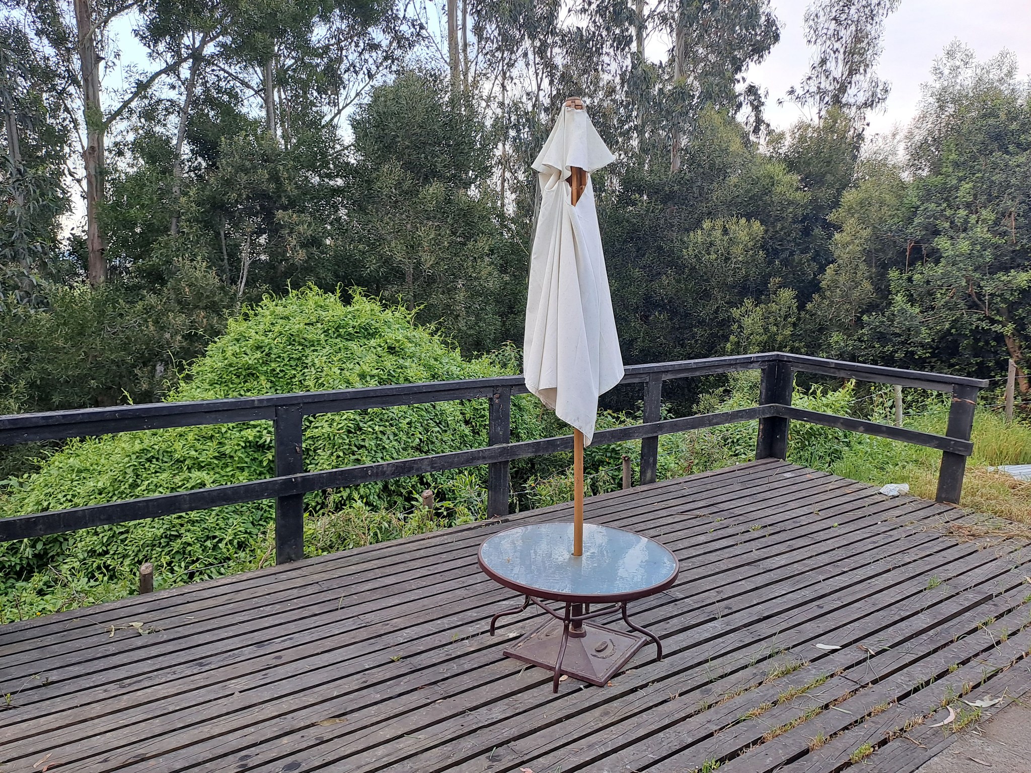 Imagina llegar a tu casa después de un día ajetreado y encontrar tu propio oasis al aire libre